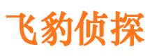 泾川市侦探